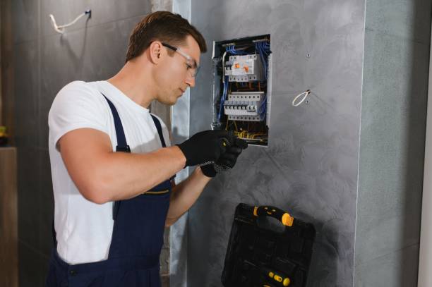Best Licensed Electrician  in Pioche, NV