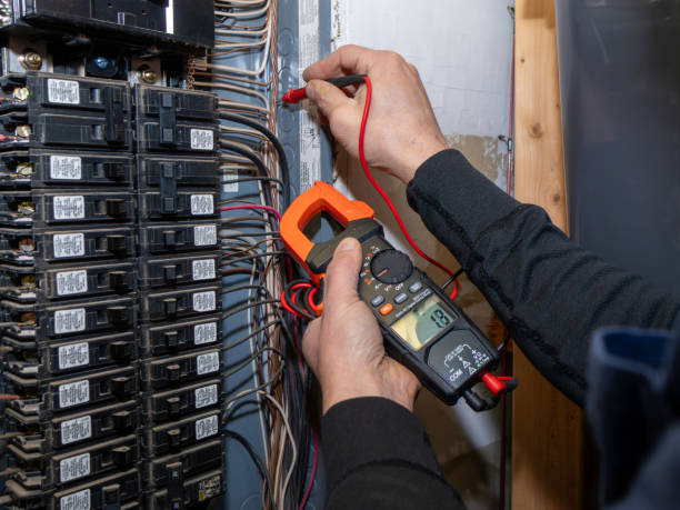 Best Electric Panel Repair  in Pioche, NV