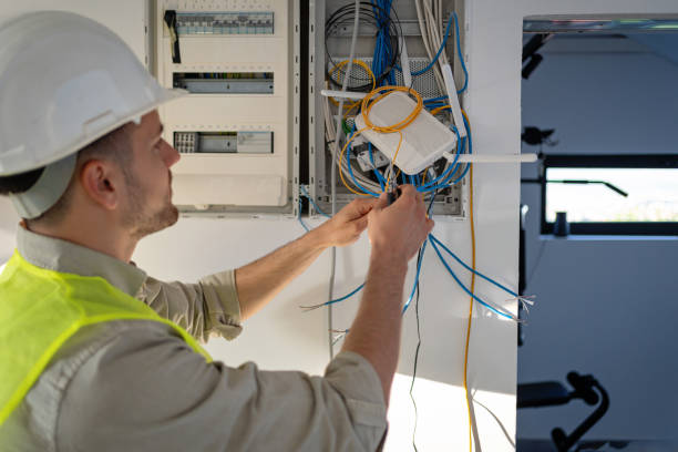 Best Electrical System Inspection  in Pioche, NV