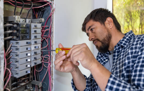 Best Ceiling Fan Installation Electrician  in Pioche, NV